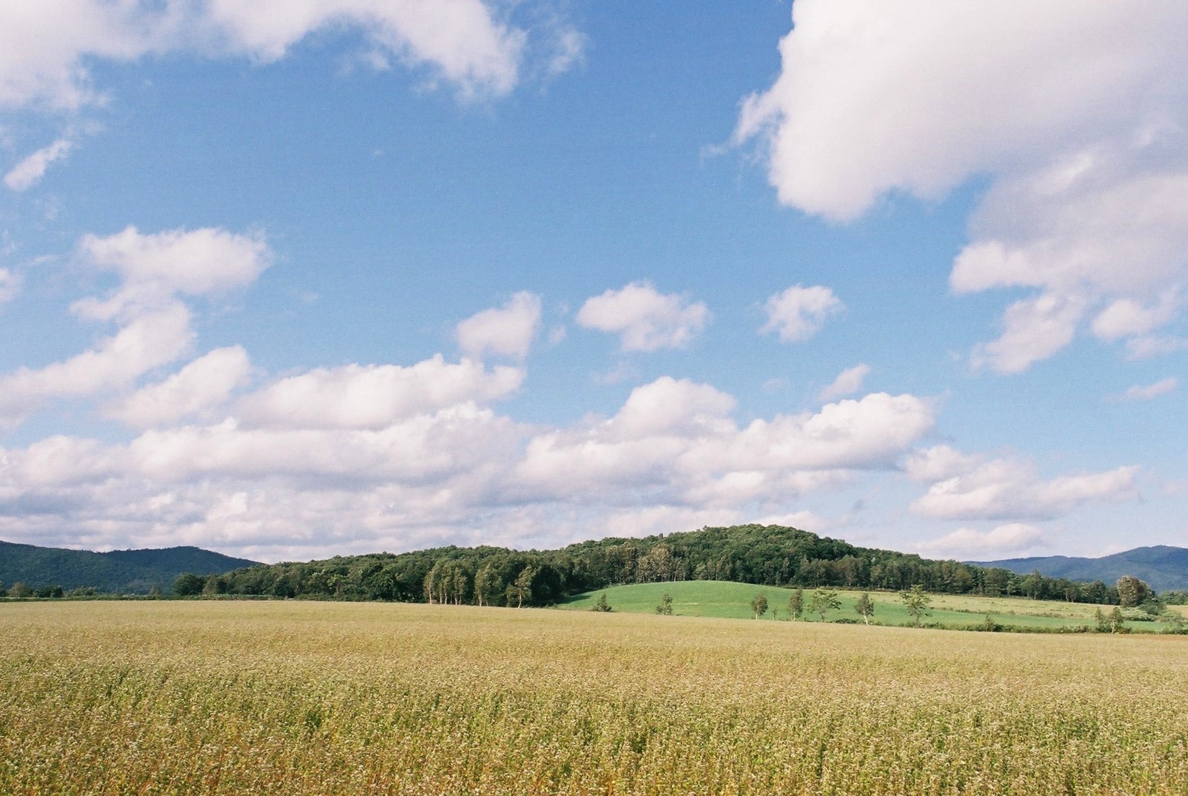 f0362725_16381400.jpg