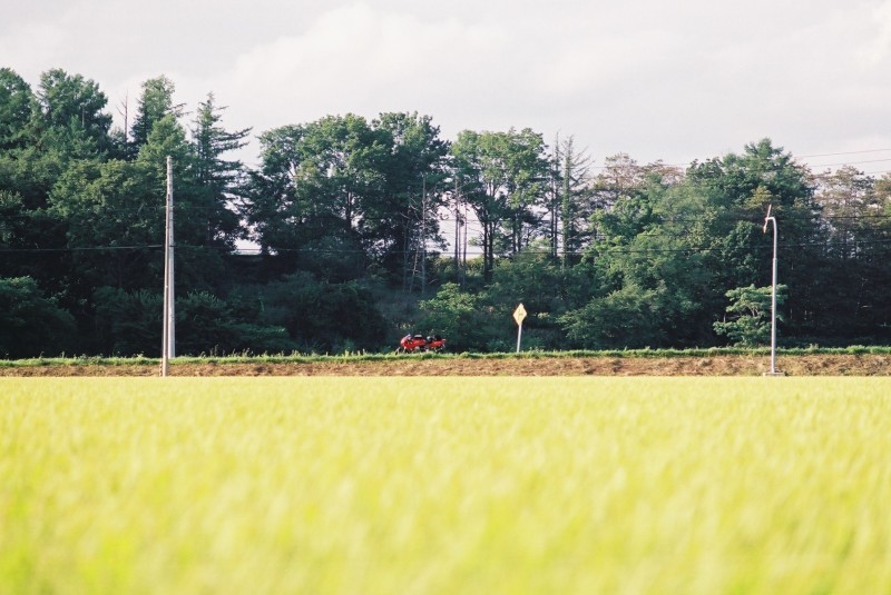 f0362725_16413742.jpg