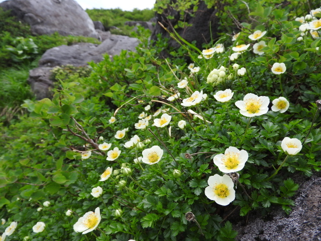 f0118332_23301480.jpg