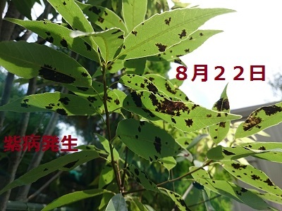 d0306248_21004048.jpg