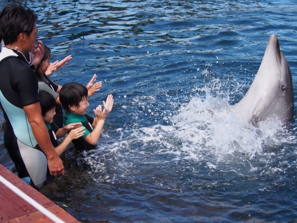 f0201157_11303611.jpg