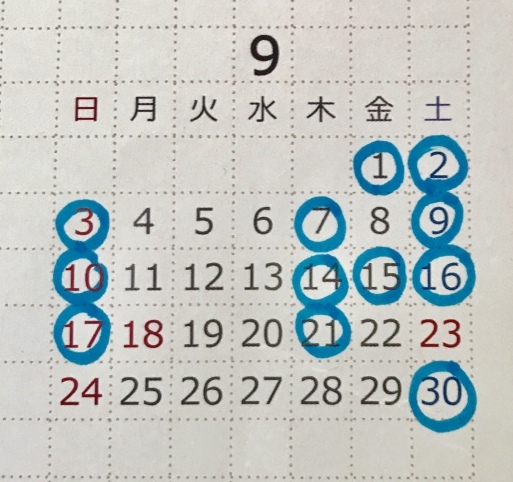 d0076558_10563118.jpeg