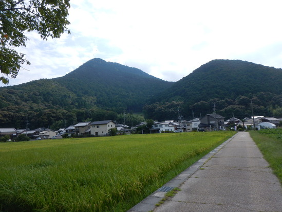 d0231858_17161844.jpg