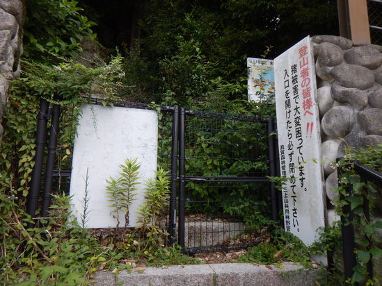d0231858_1729359.jpg