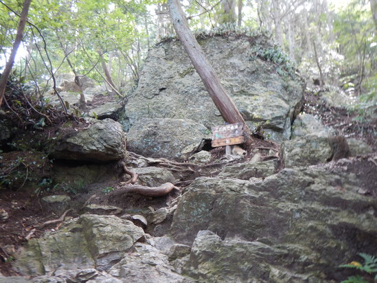 d0231858_1753291.jpg