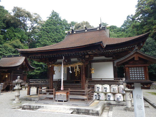 d0231858_1772499.jpg