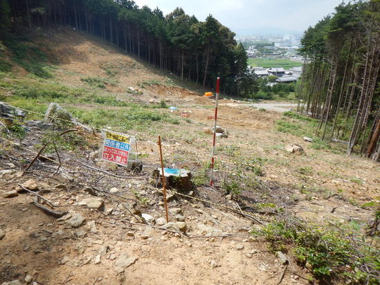 d0231858_19135961.jpg