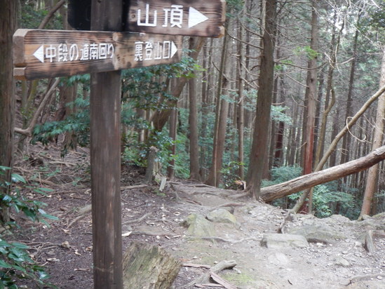 d0231858_1993282.jpg