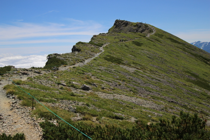 f0223068_12454275.jpg