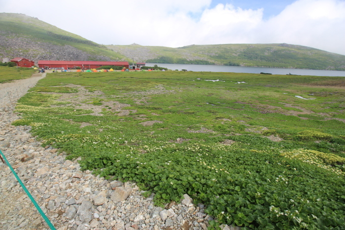 f0223068_12501751.jpg