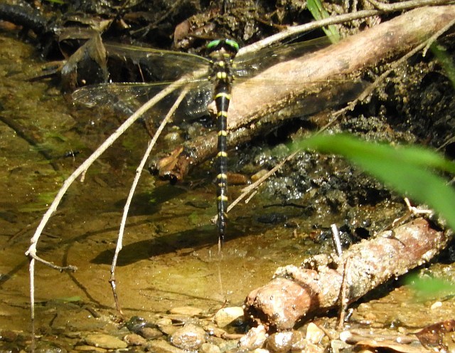f0378979_17434541.jpg