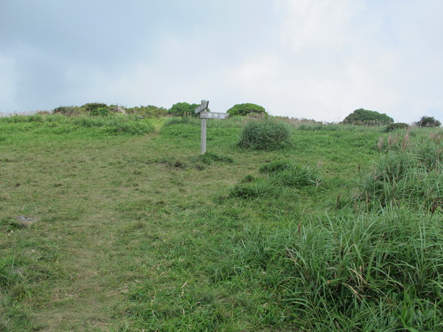 a0166196_21331955.jpg
