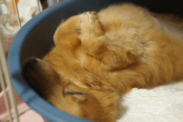b0290297_15580072.gif
