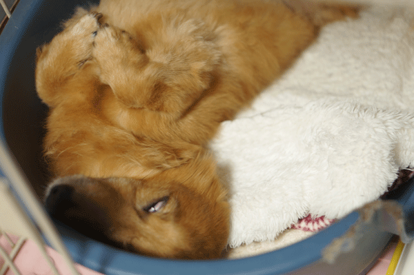 b0290297_15585532.gif