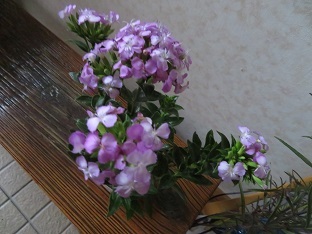 f0325309_17101943.jpg