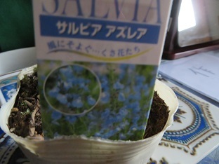 f0325309_17104772.jpg