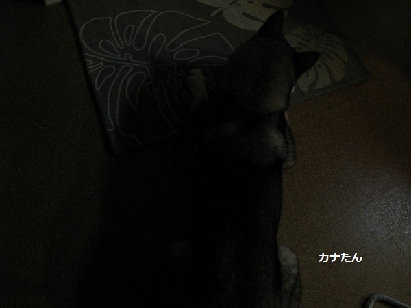 f0143123_08033174.jpg