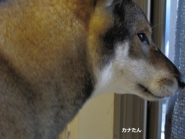 f0143123_08035406.jpg