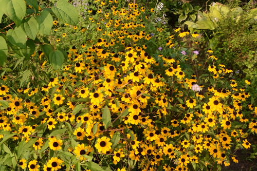 c0107129_1215099.jpg