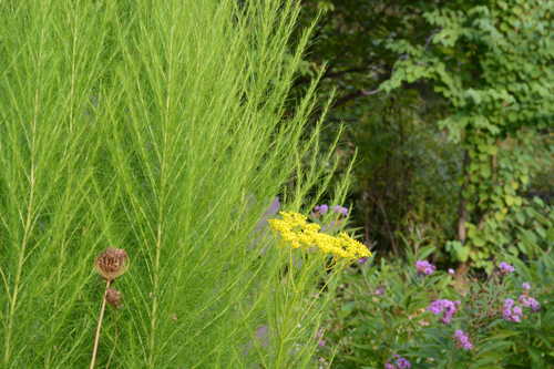 c0107129_1502246.jpg