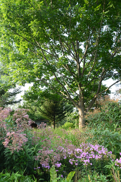 c0107129_193231.jpg