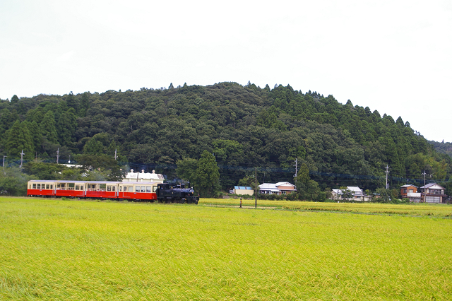 b0283432_2218762.jpg
