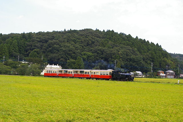 b0283432_22192041.jpg