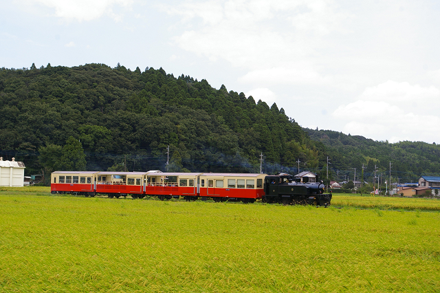 b0283432_2220937.jpg