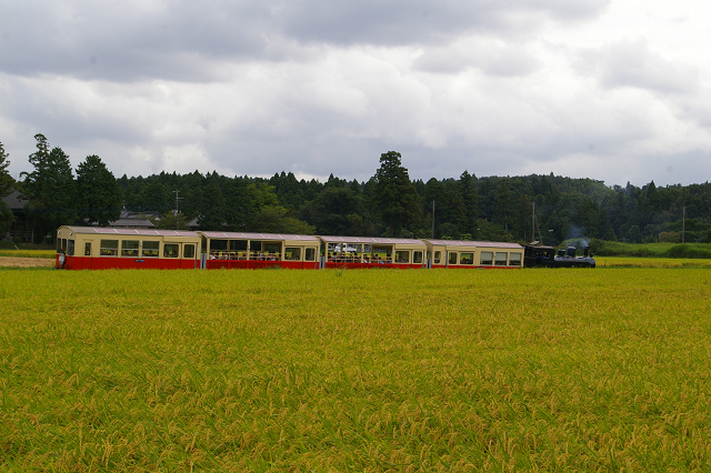 b0283432_22212455.jpg