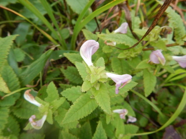 f0118332_22382436.jpg