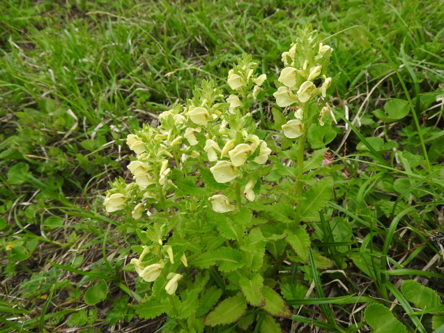 f0118332_22500399.jpg