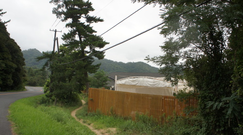 e0166734_19450470.jpg