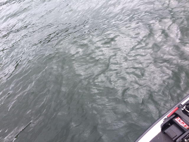 e0133656_19551751.jpg