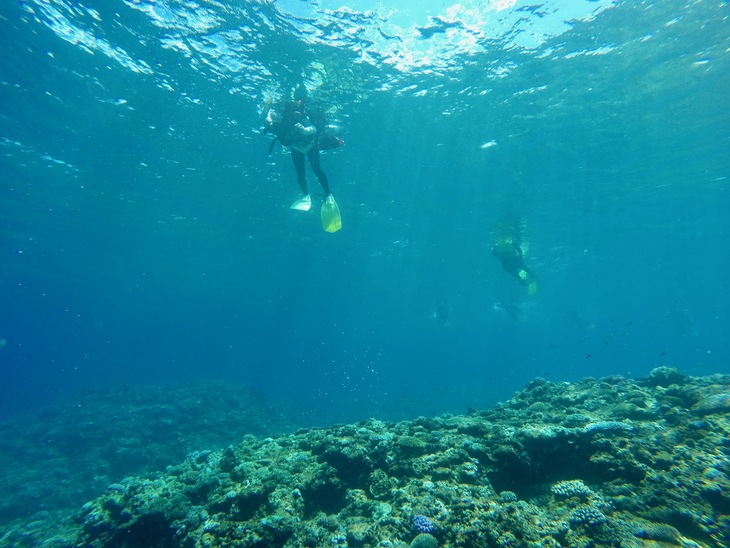 d0363878_14264122.jpg