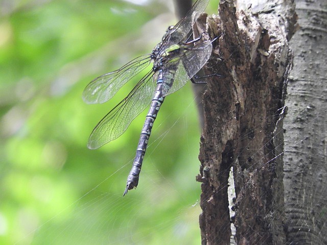 f0378979_21074446.jpg