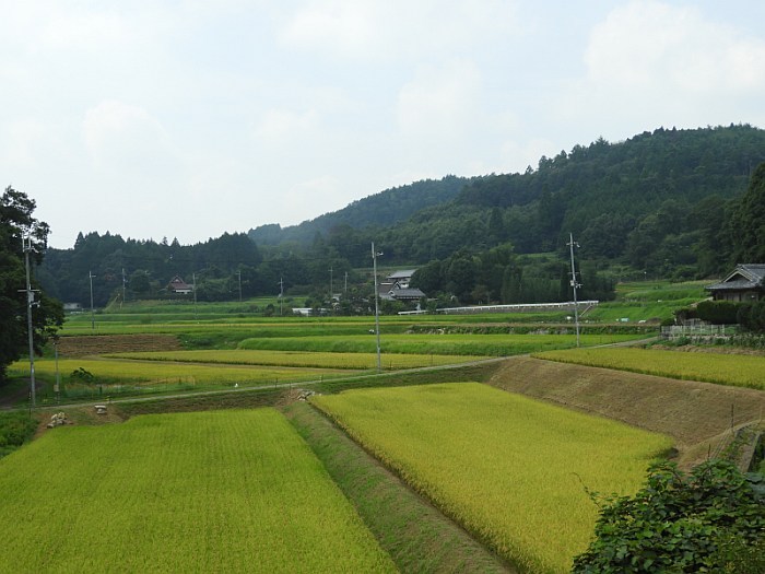 f0378979_22000366.jpg