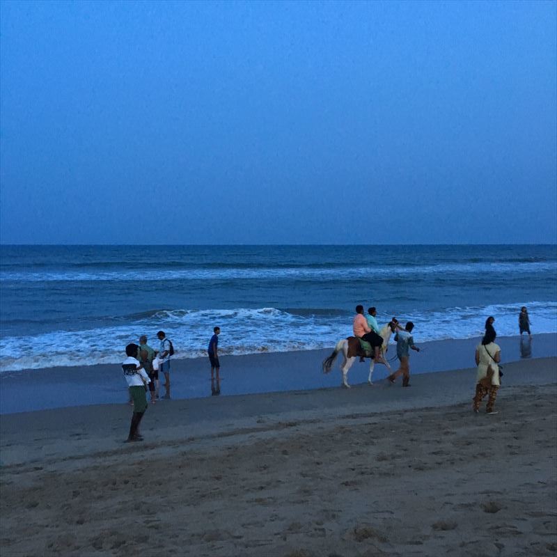 f0167281_11431855.jpg