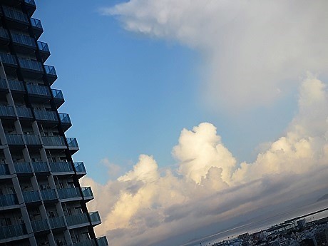 d0151694_00533541.jpg