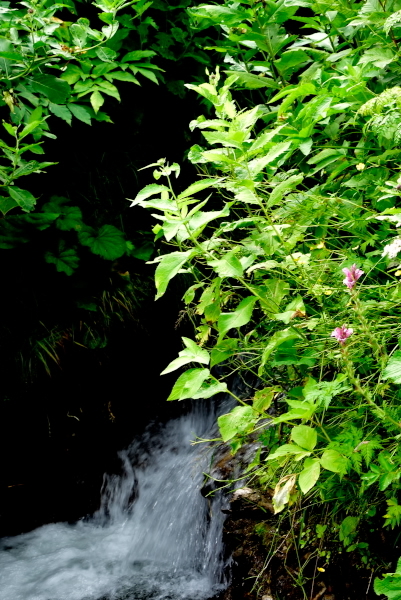 d0363399_10585380.jpg