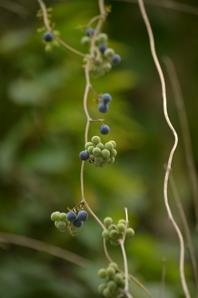 a0240403_10125531.jpg