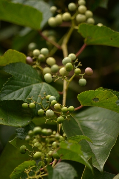 a0240403_10133895.jpg
