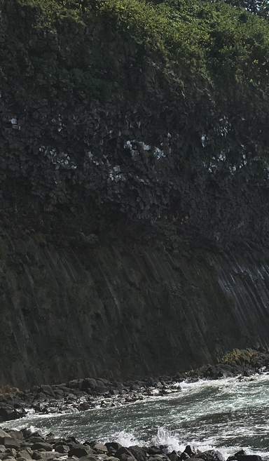 a0337807_14174238.png