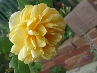 f0325309_18455178.jpg