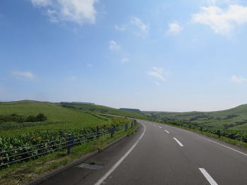 d0027711_126635.jpg