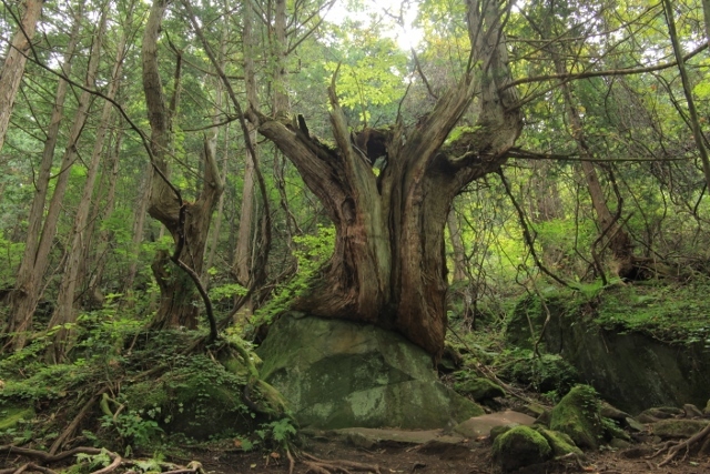 e0242721_08401648.jpg