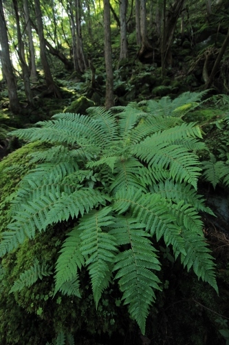 e0242721_08473260.jpg