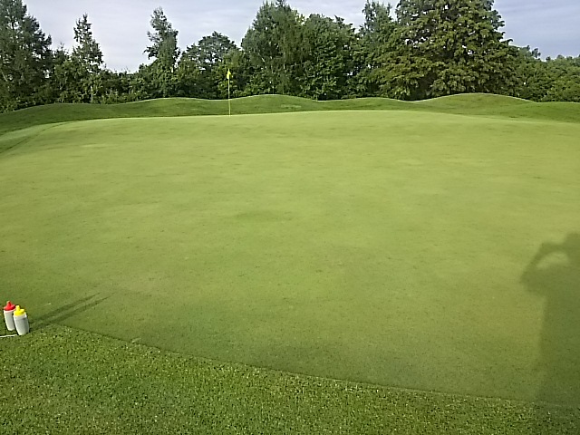 f0227321_20461320.jpg