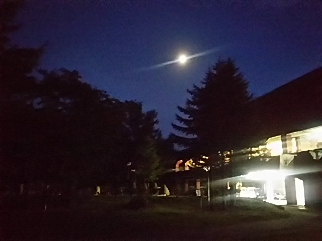 f0227321_20465667.jpg