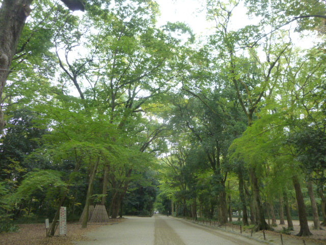 d0106134_22281844.jpg