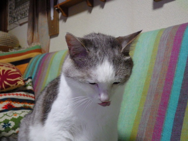 a0337237_09534408.jpg